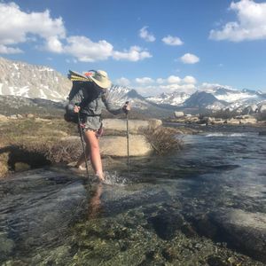 Meet your Posher, Sydney